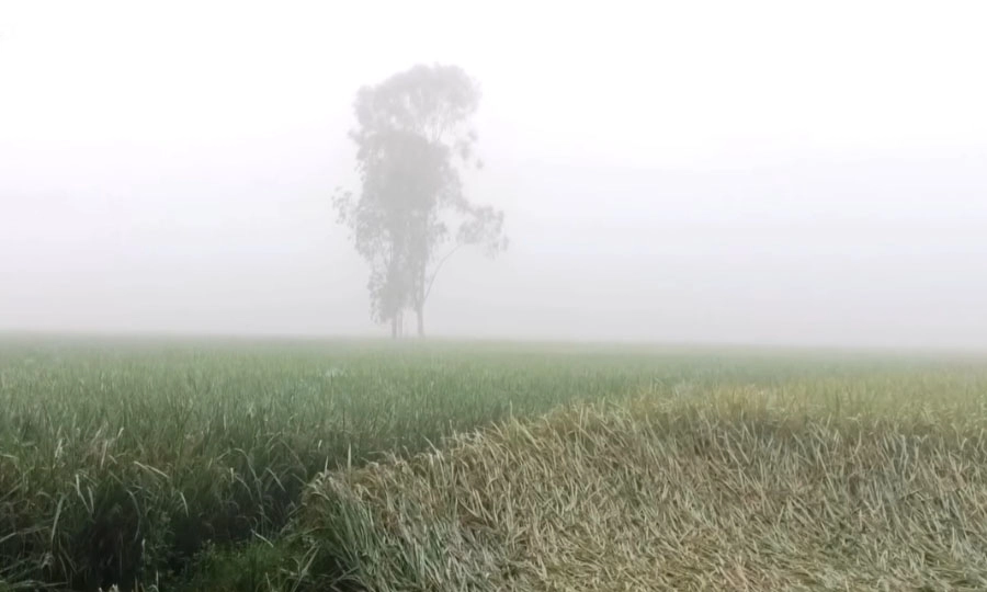 ছবি- রূপালী বাংলাদেশ