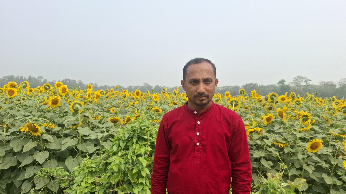 সূর্যমুখী চাষ করে স্বাবলম্বী হওয়ার স্বপ্ন দেখছেন দিদার। ছবি : রুপালী বাংলাদেশ