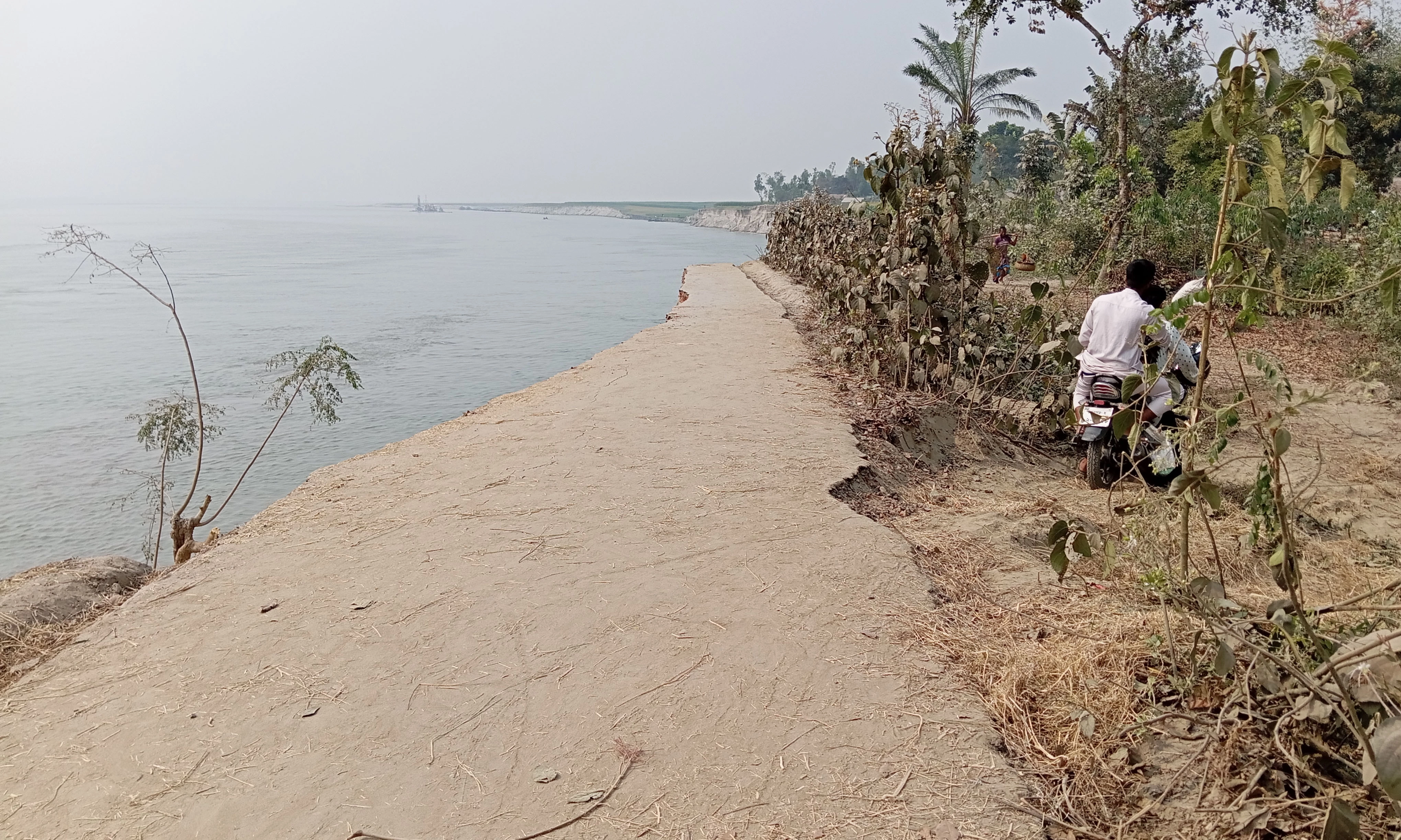 অসময়ে যমুনার ভাঙনে সড়ক, বসতবাড়ি, ফসলি জমি নদীগর্ভে বিলীন। ছবি : রূপালী বাংলাদেশ