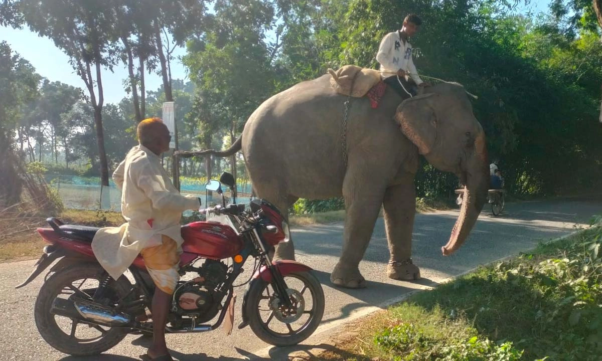 ছবি- রূপালী বাংলাদেশ