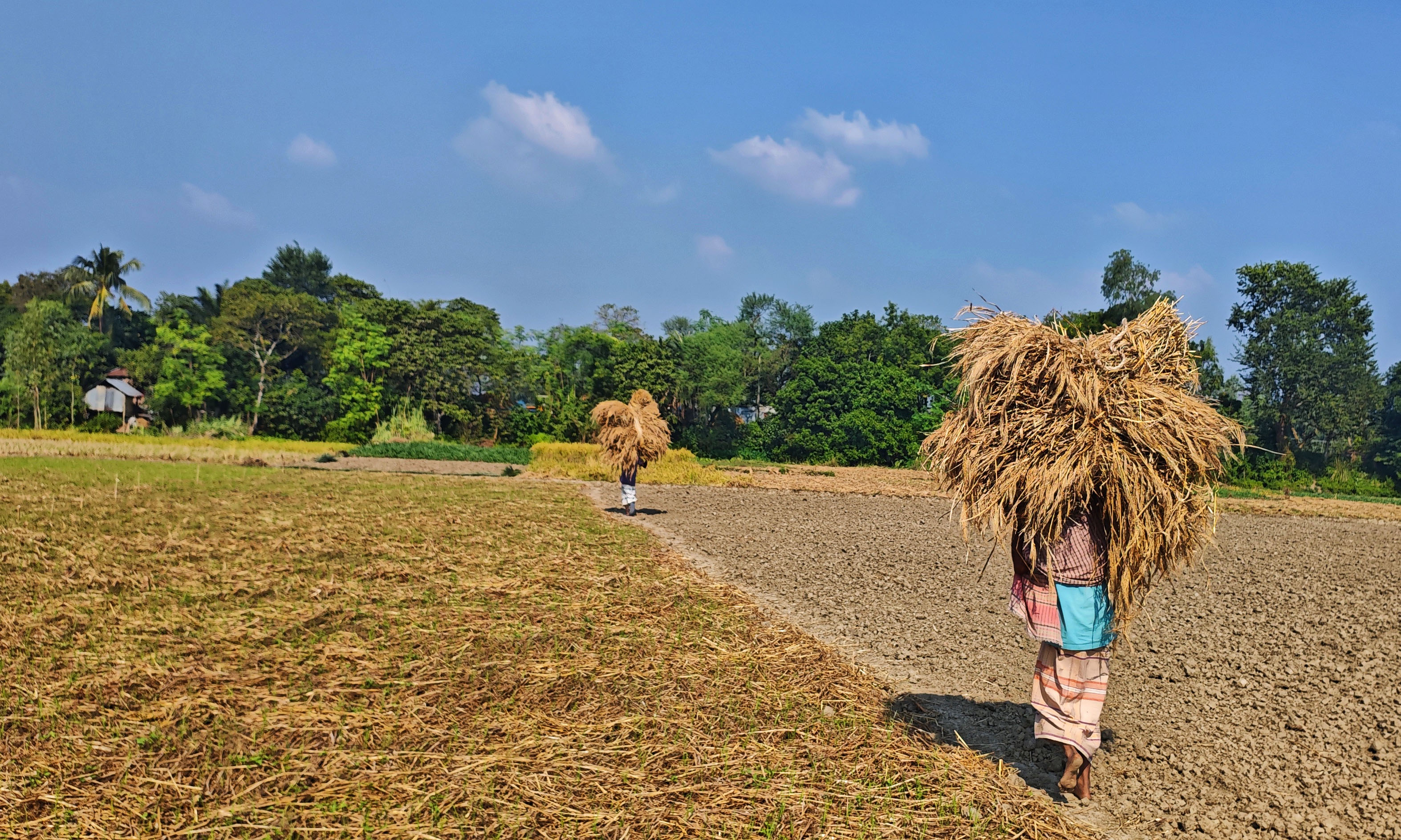 ছবি- রূপালী বাংলাদেশ