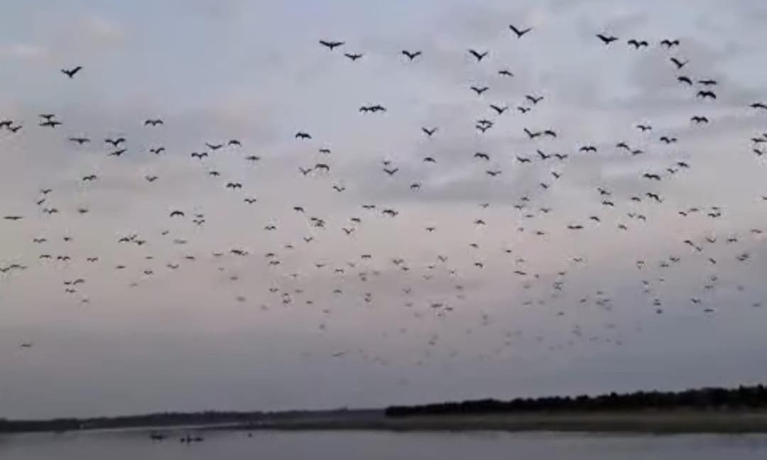 ছবি : রূপালী বাংলাদেশ