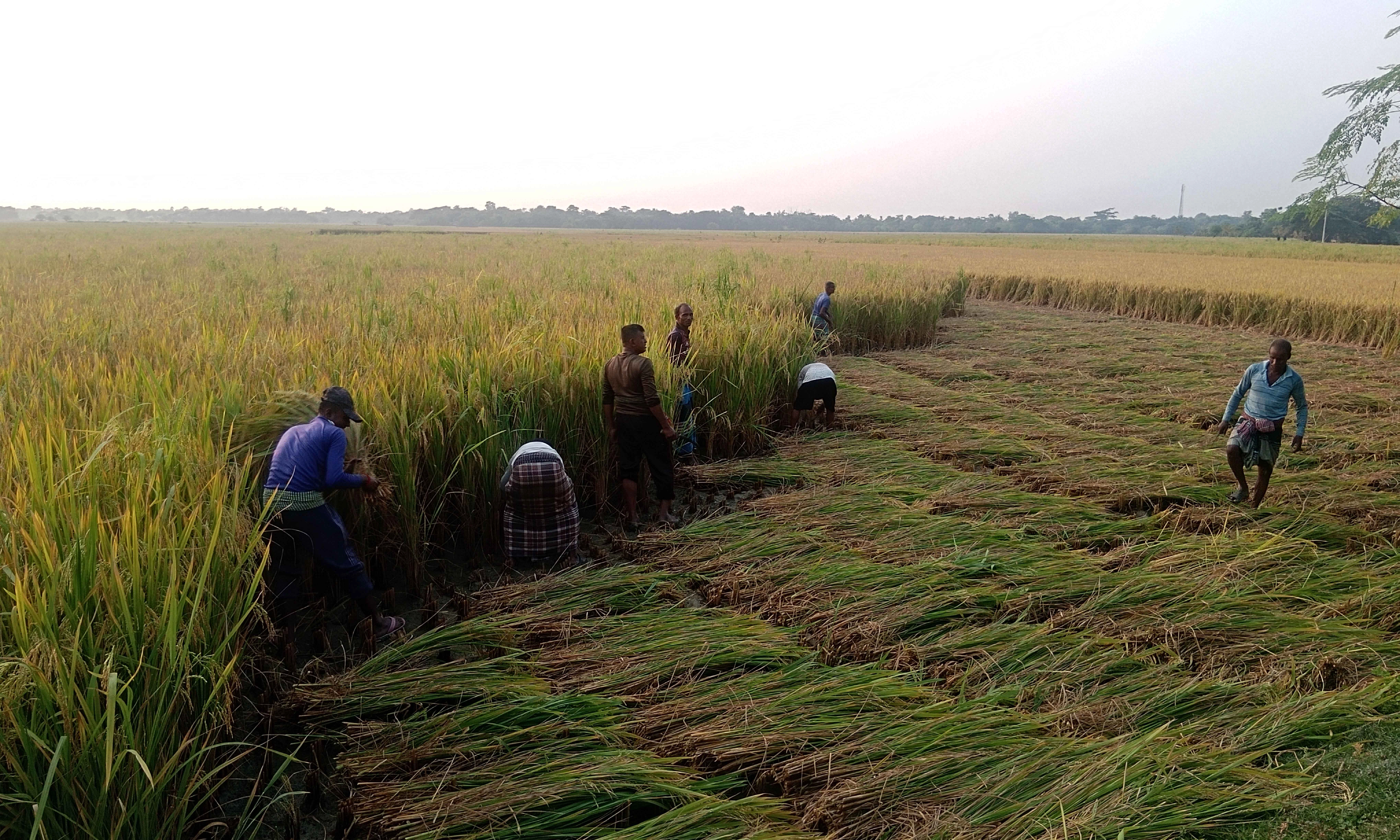 ছবি- রূপালী বাংলাদেশ