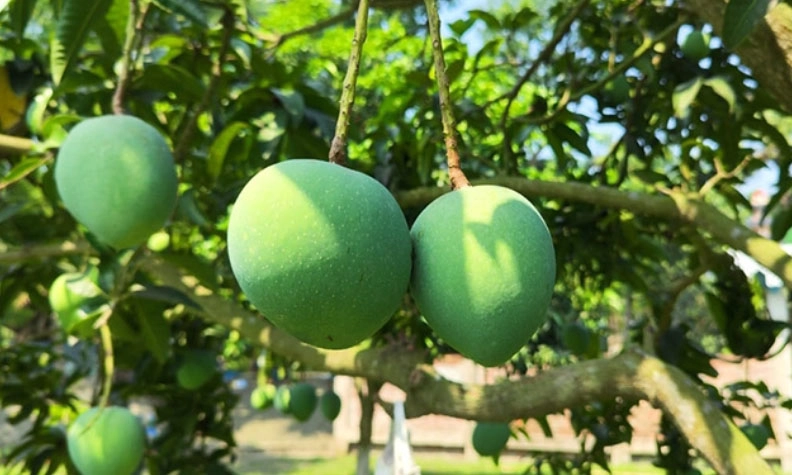 ছবি: রূপালী বাংলাদেশ