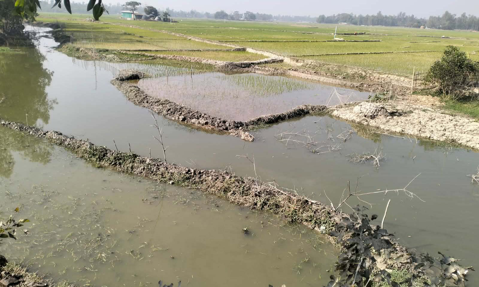 পেকুয়ায় চলছে খাল দখলের মহোৎসব। ছবি : রূপালী বাংলাদেশ