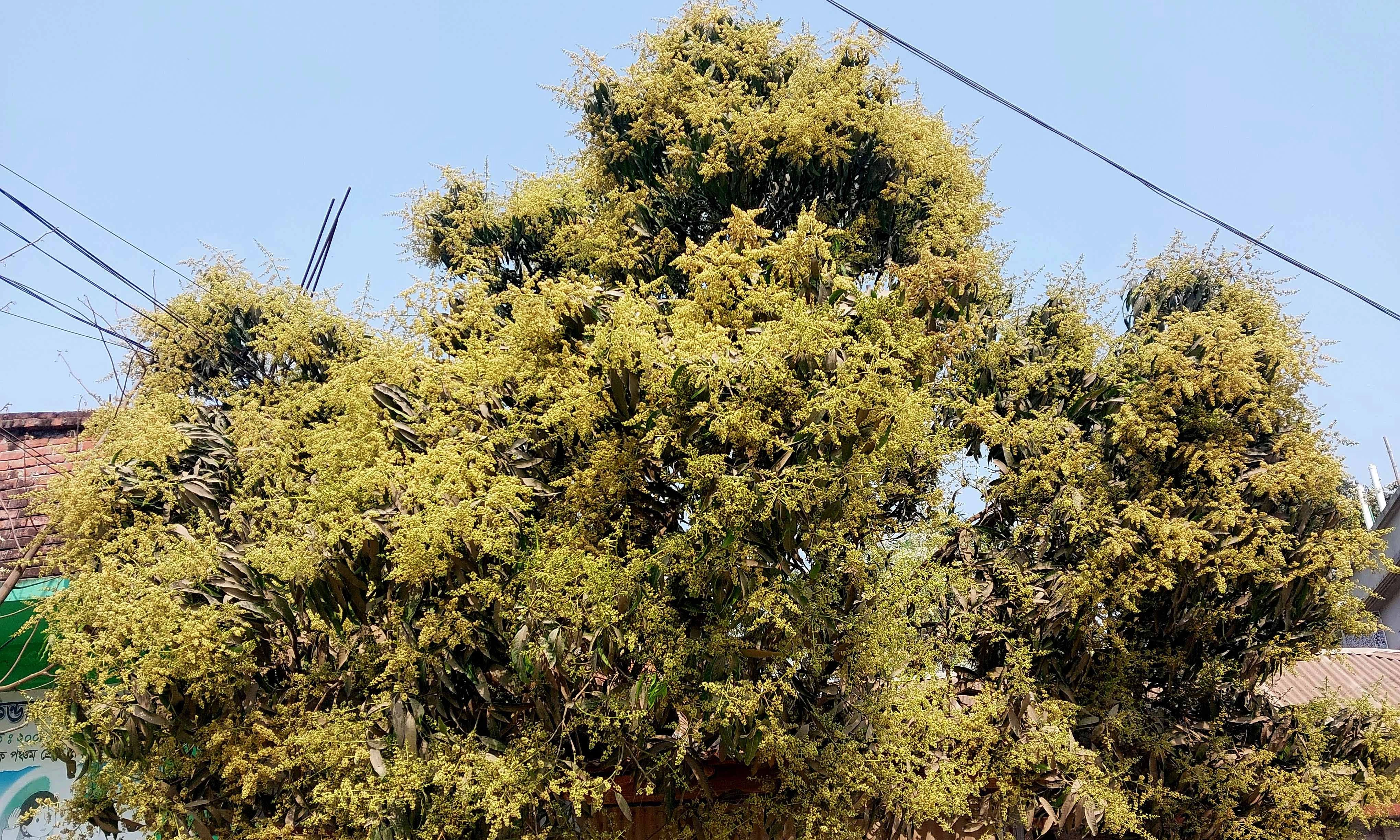 ছবি : রূপালী বাংলাদেশ