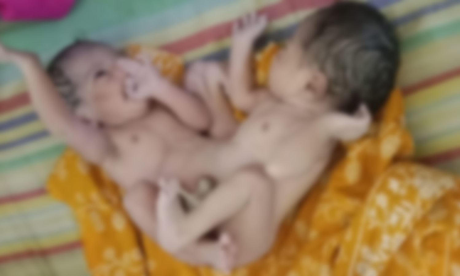 ছবি : রূপালী বাংলাদেশ