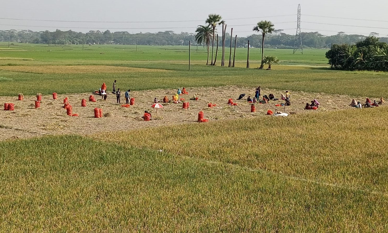 ছবি : রূপালী বাংলাদেশ