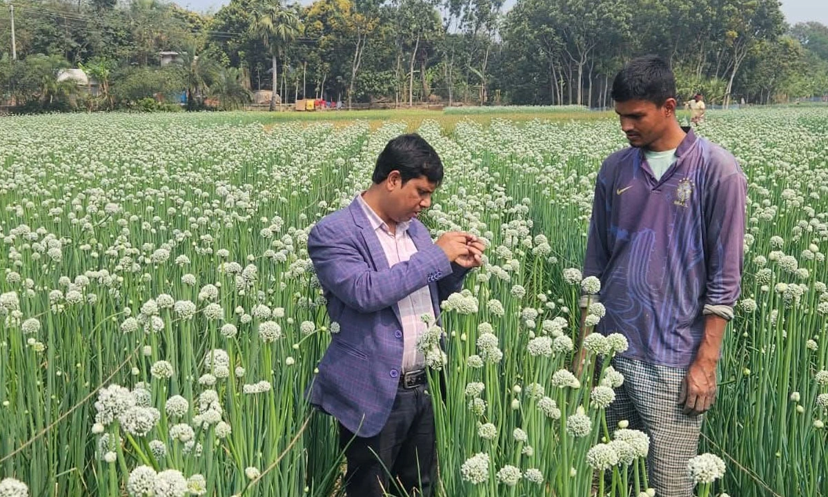 ছবি : রূপালী বাংলাদেশ