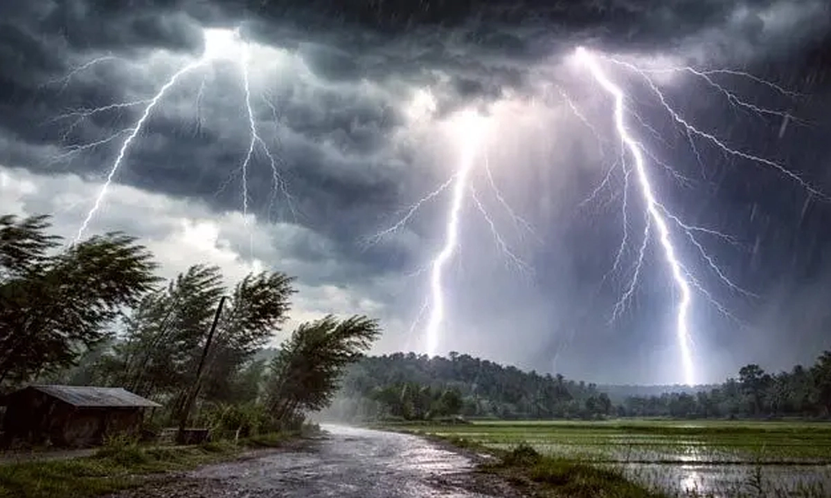 ছবি : সংগৃহীত