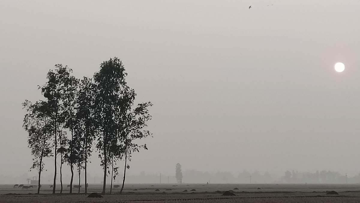 কুয়াশার চাদরে ঢাকা দিনাজপুর। ছবি : রূপালী বাংলাদেশ