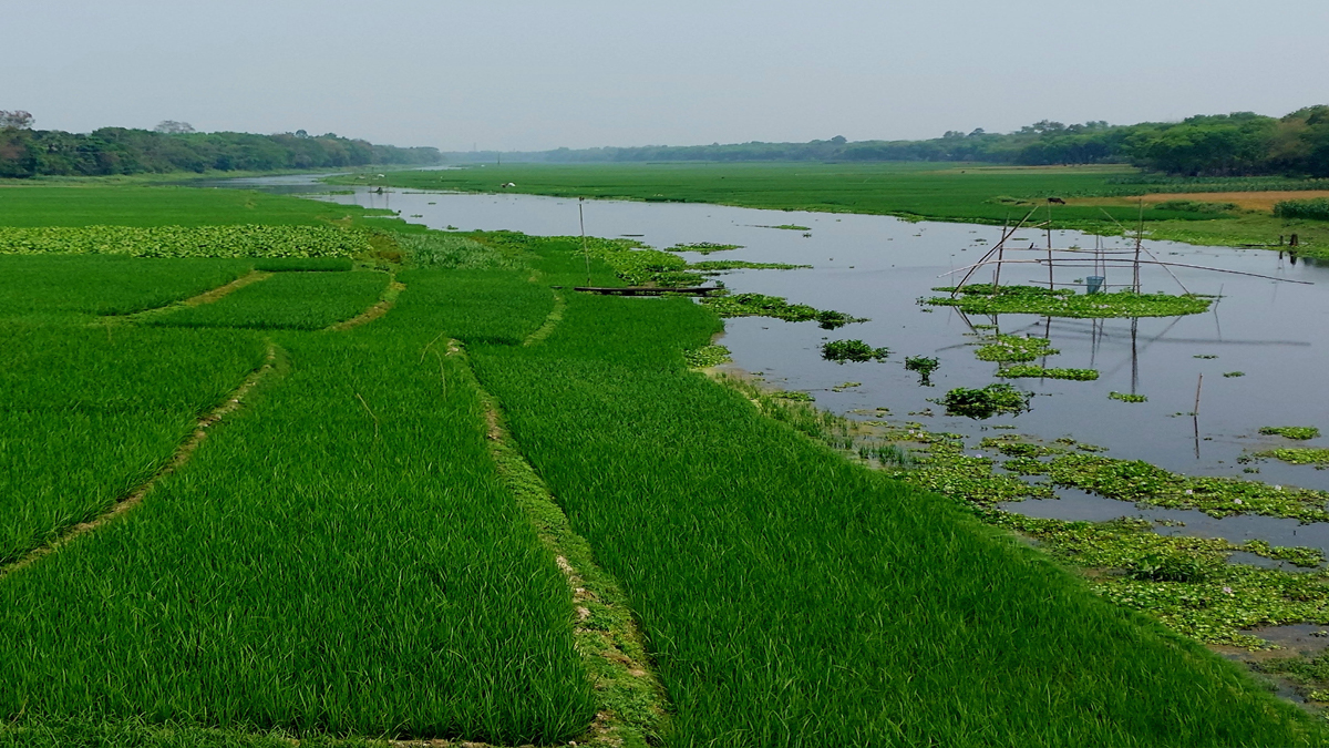 কুমার নদ। ছবি : রূপালী বাংলাদেশ