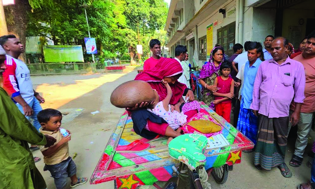 চিকিৎসার জন্য শিশুটিকে সরিষাবাড়ী উপজেলা স্বাস্থ্য কমপ্লেক্সে নিয়ে আসা হয়েছে। ছবি : রূপালী বাংলাদেশ