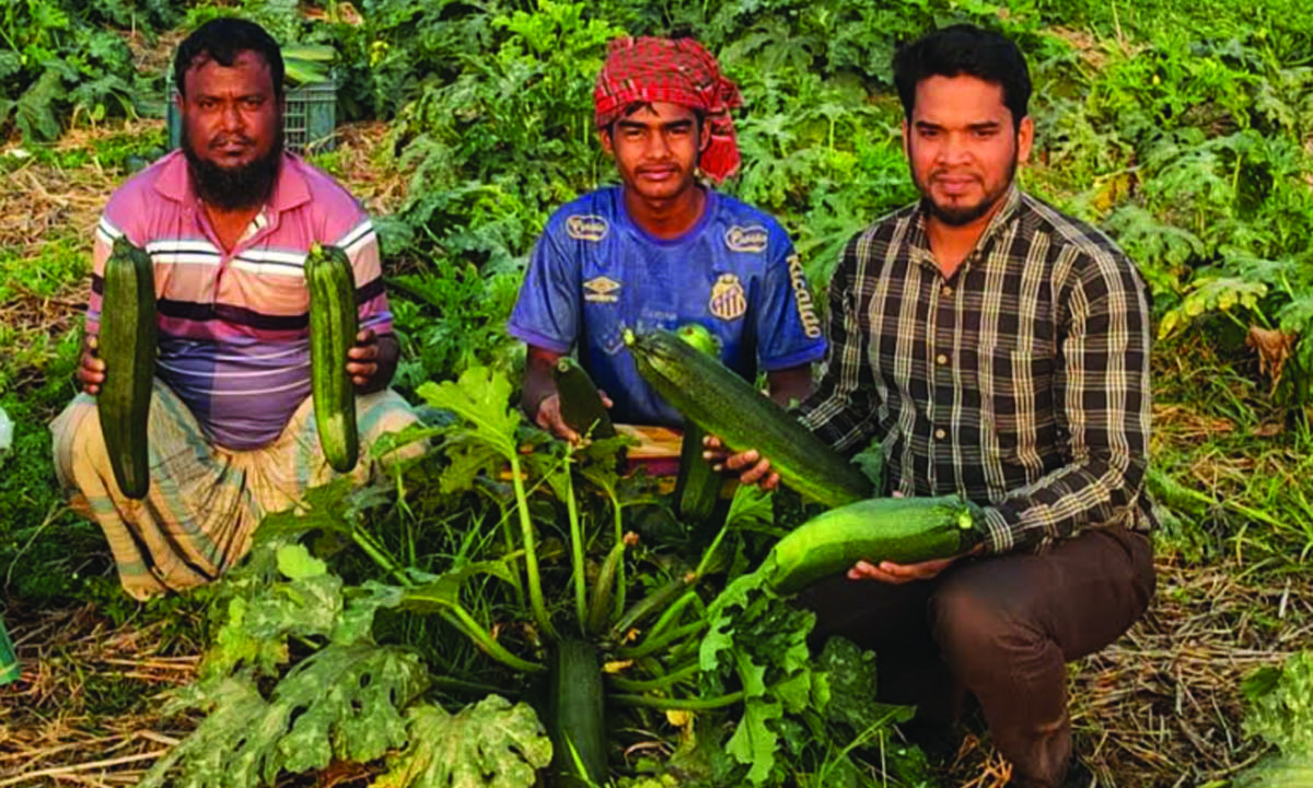 কৃষক কুদ্দুস মিয়া স্কোয়াশ চাষে সফল। ছবি : রূপালী বাংলাদেশ