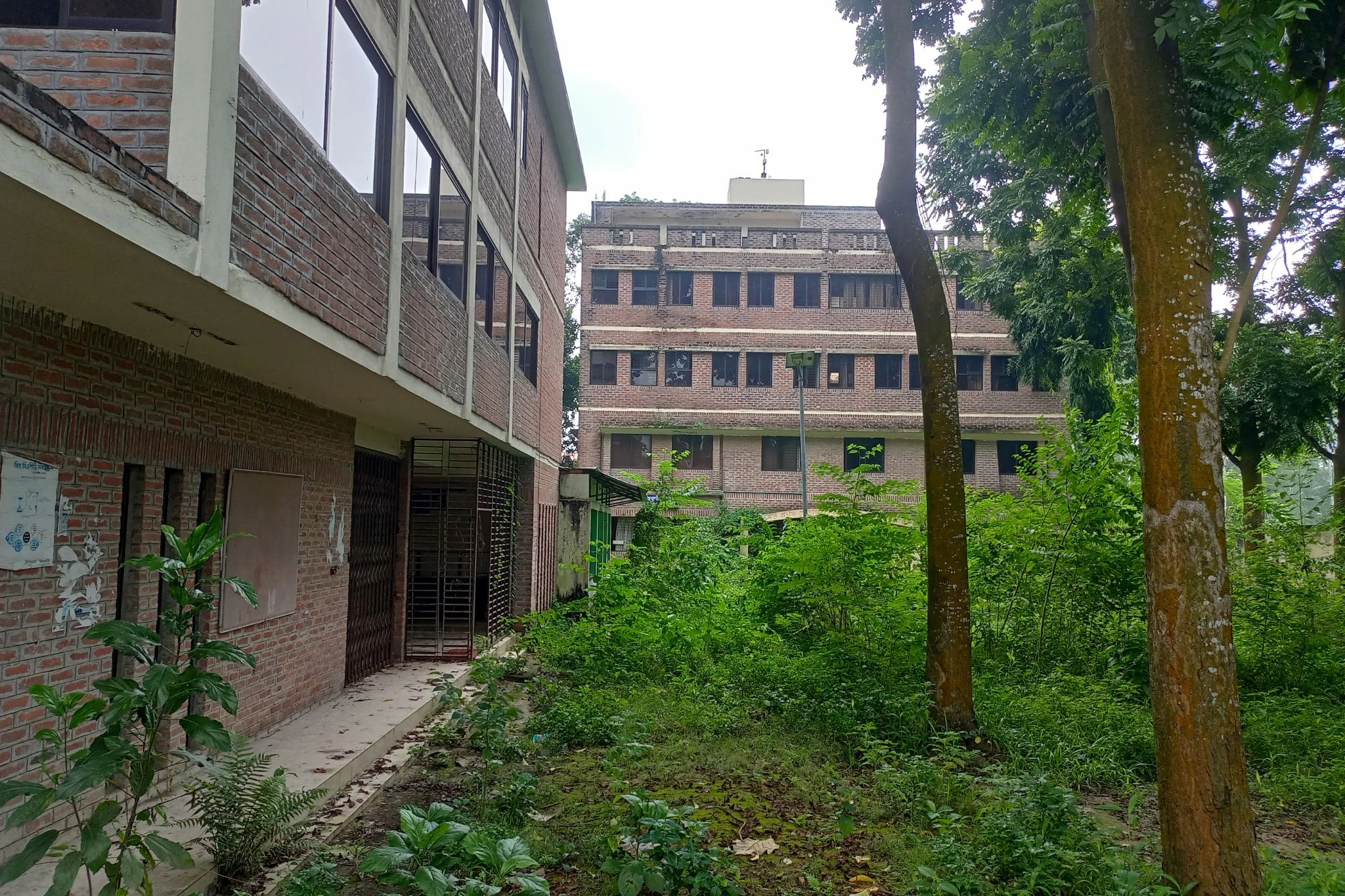 ফাইলেরিয়া হাসপাতাল  যেন ভূতুড়ে বাড়ি