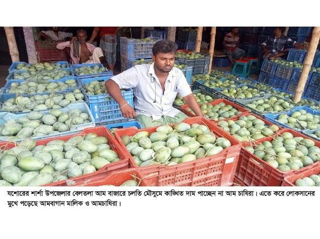 আমের বাজারে মন্দা