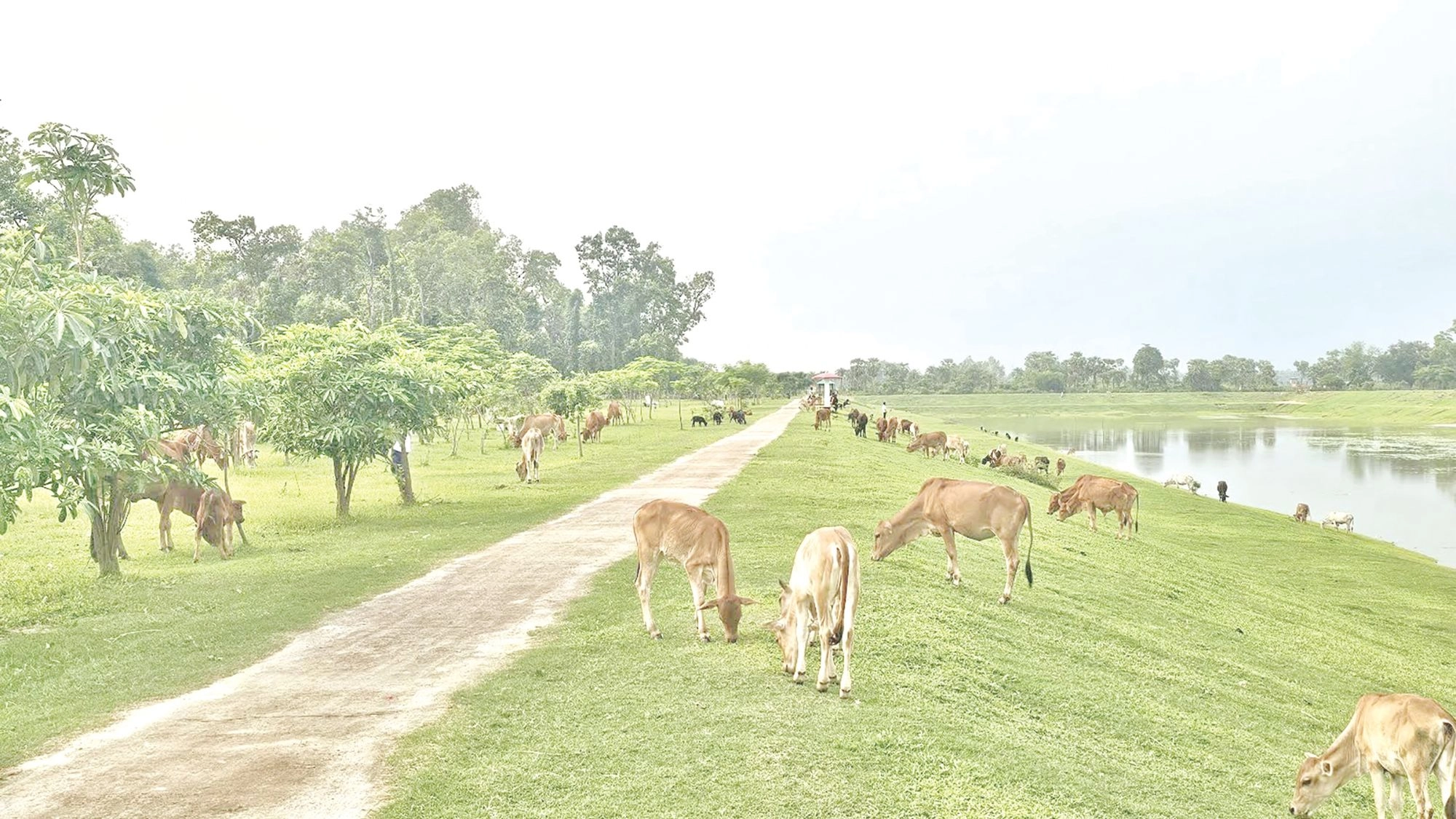 রক্ষণাবেক্ষণের অভাবে হারিয়ে  যাচ্ছে প্রাকৃতিক সৌন্দর্য