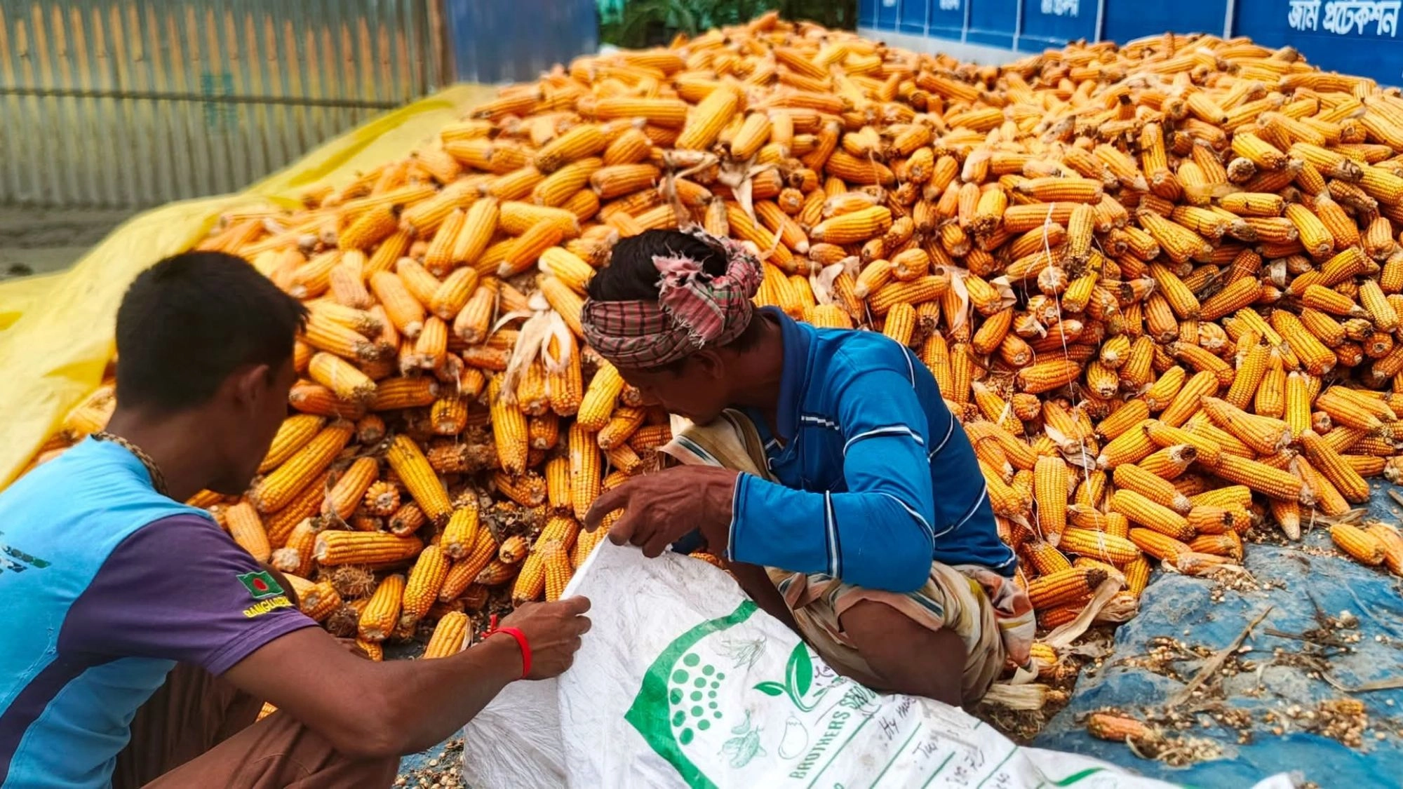 চরের বুকে চাষির কান্না