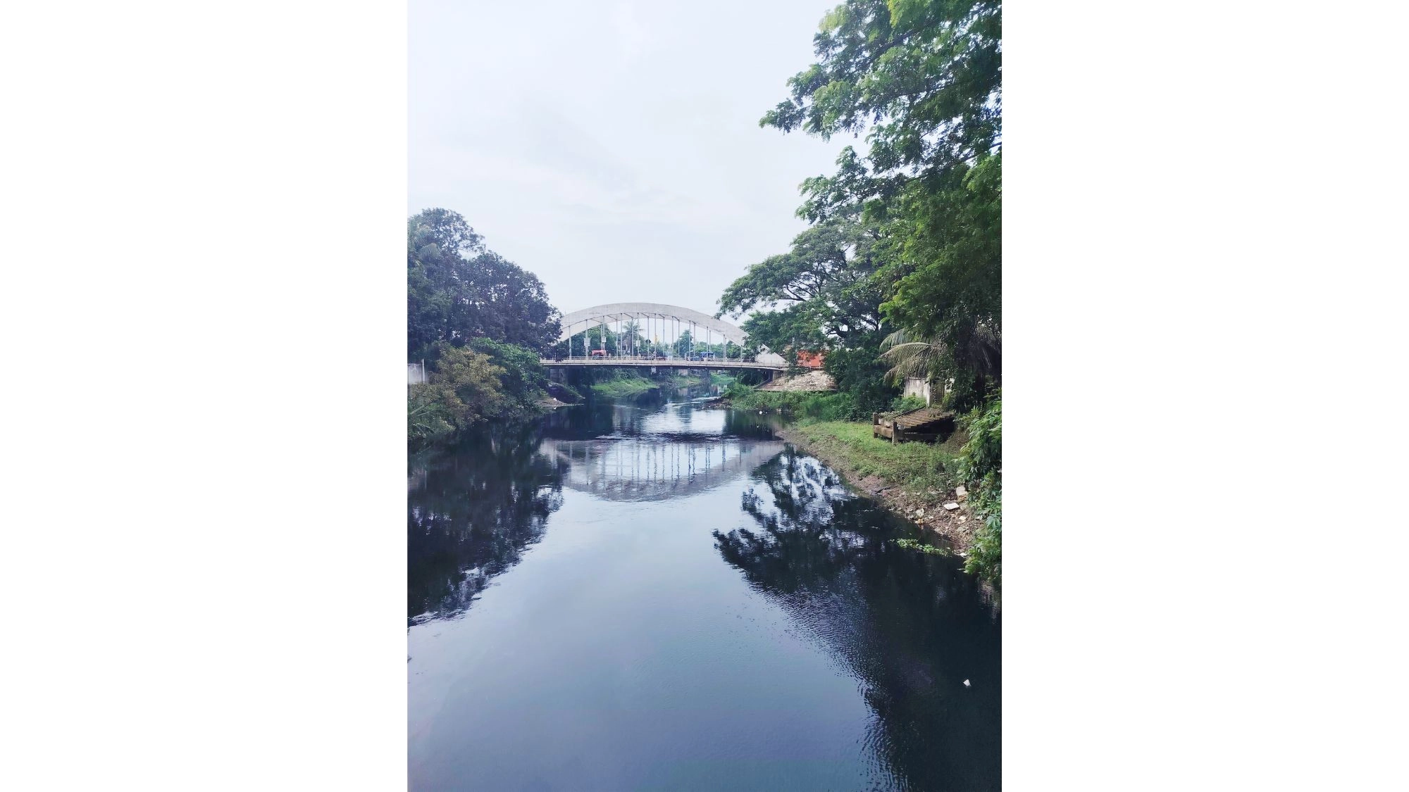 বর্জ্যরে নিষ্ঠুর থাবায়  ডাকাতিয়া নদী
