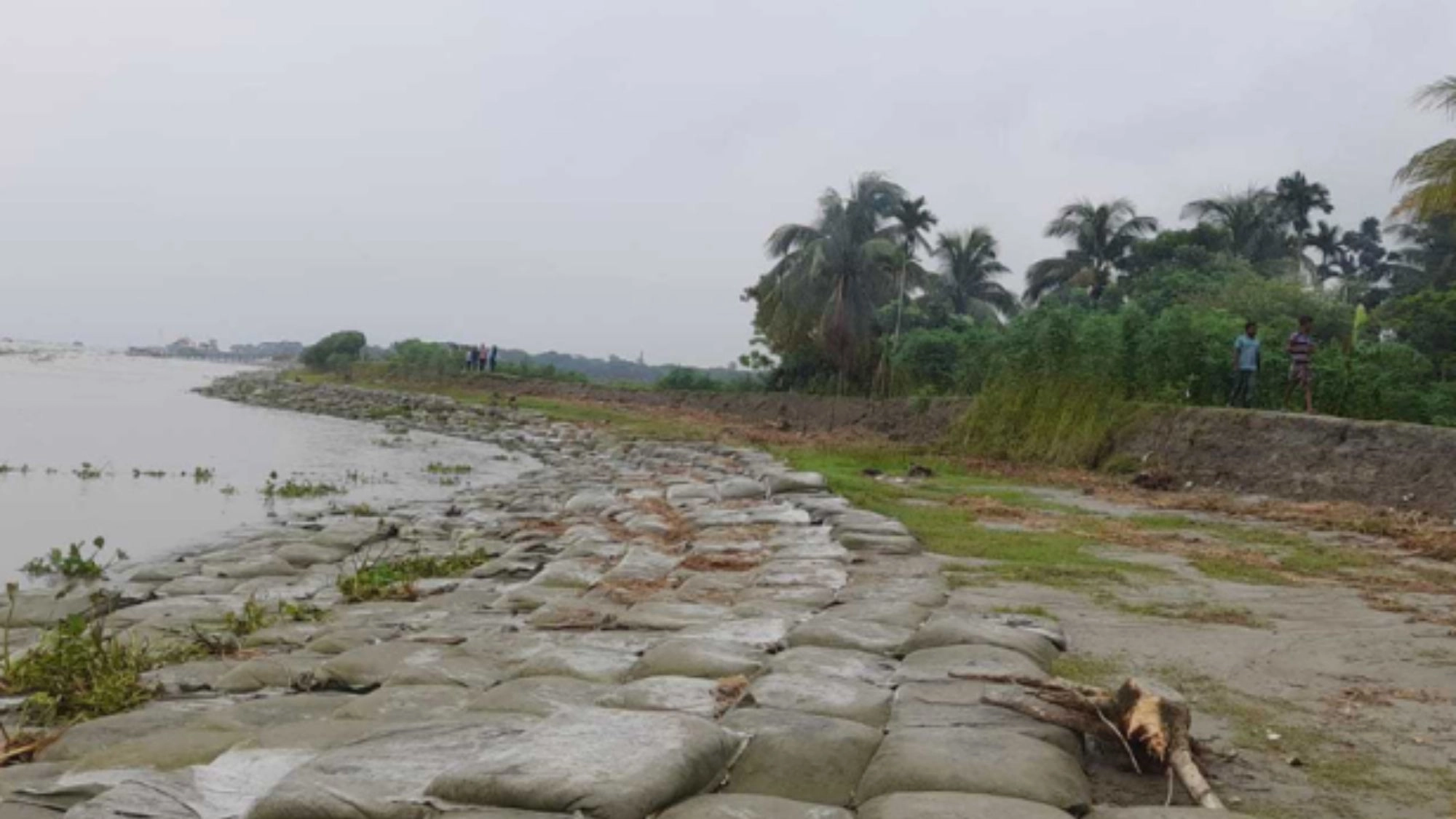 কচ্ছপ গতিতে মেঘনা রক্ষা প্রকল্প