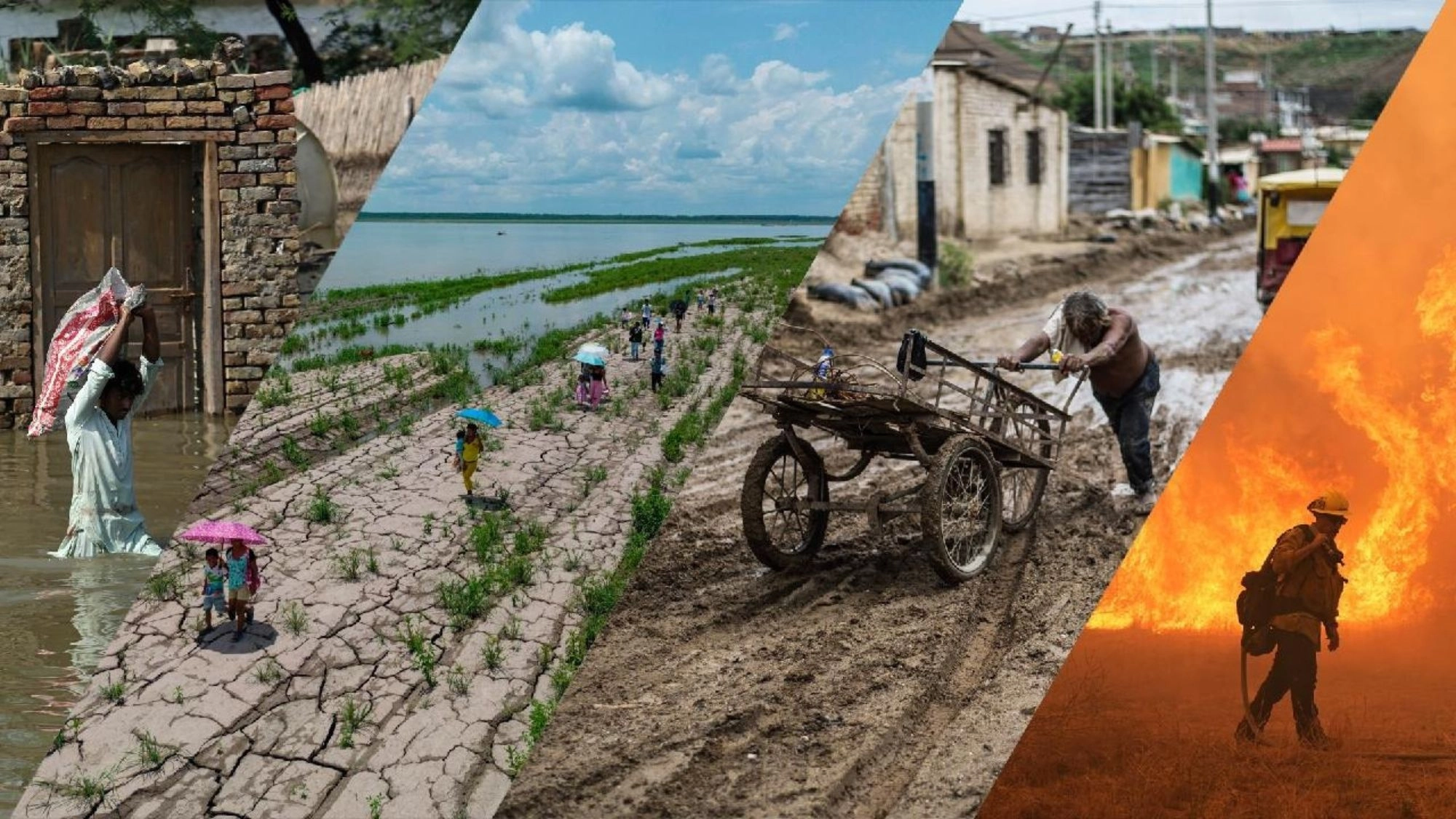 দ্বিমুখী সংকটে এশিয়ার ধানভান্ডার