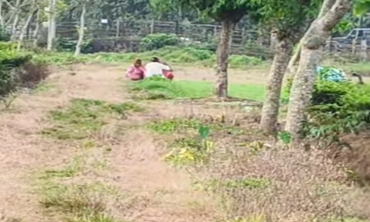 ছবি- রূপালী বাংলাদেশ