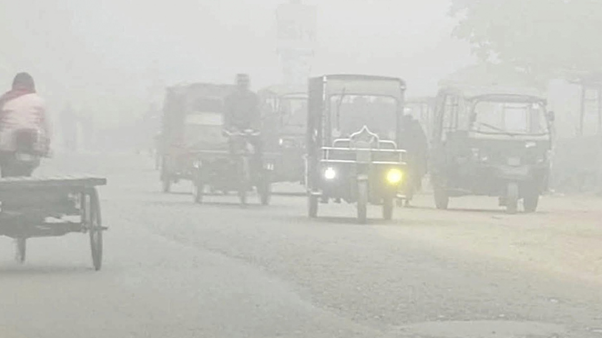 দিনাজপুরে নেমেছে কনকনে শীত