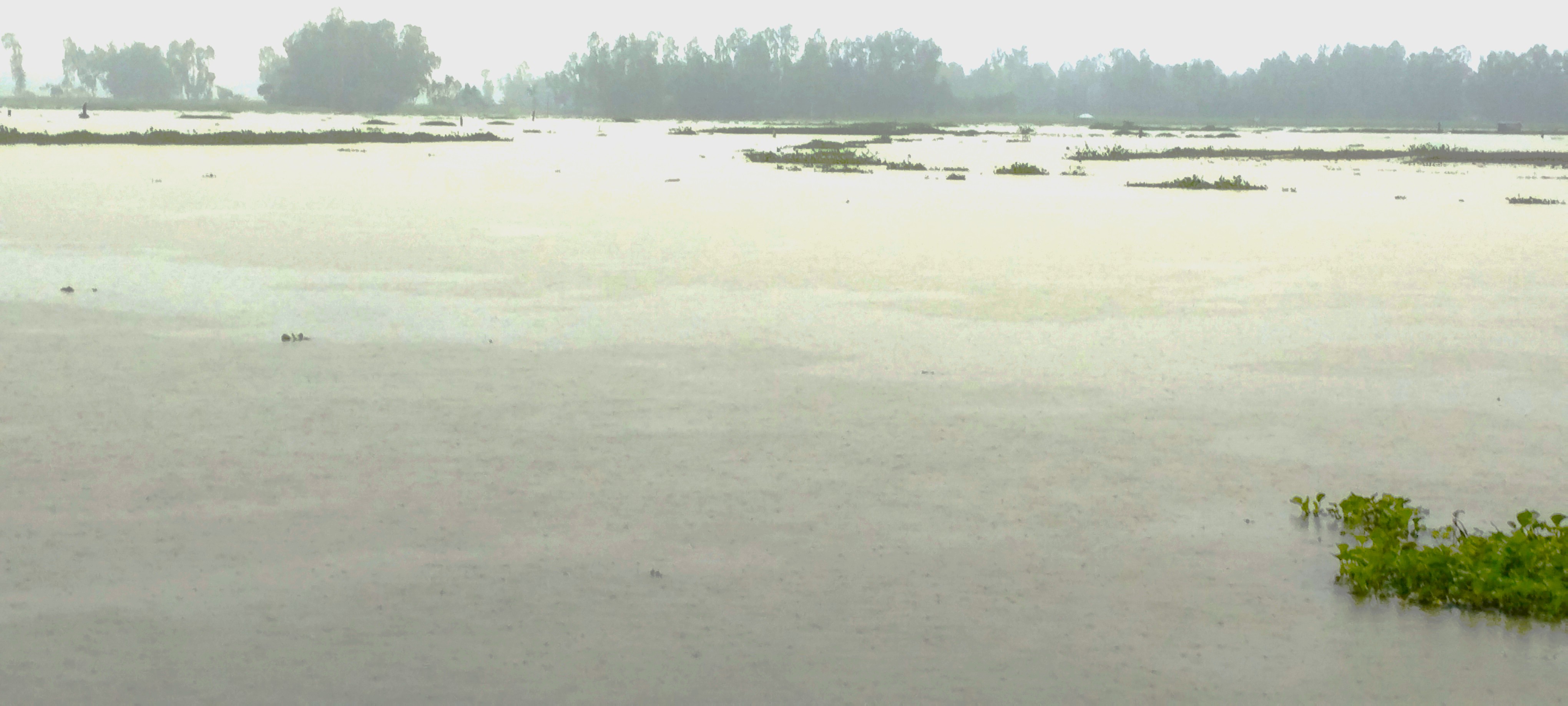ছবি- রূপালী বাংলাদেশ