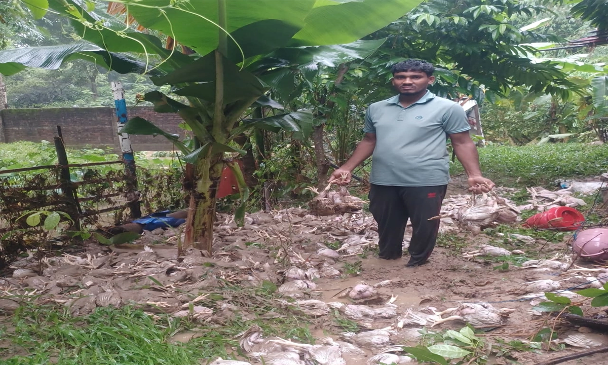ছবি- রূপালী বাংলাদেশ