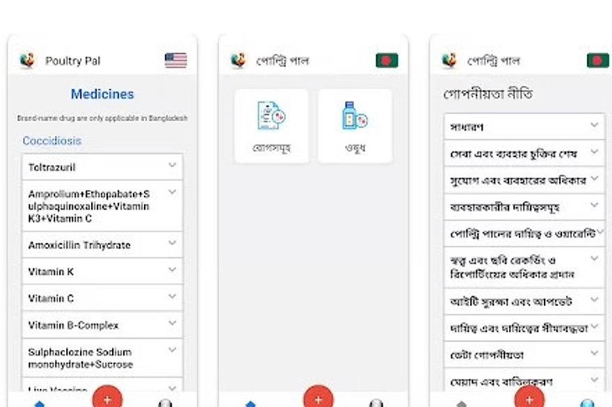 দেশীয় অ্যাপ দিয়েই শনাক্ত হবে মুরগির রোগ। ছবি - সংগৃহীত