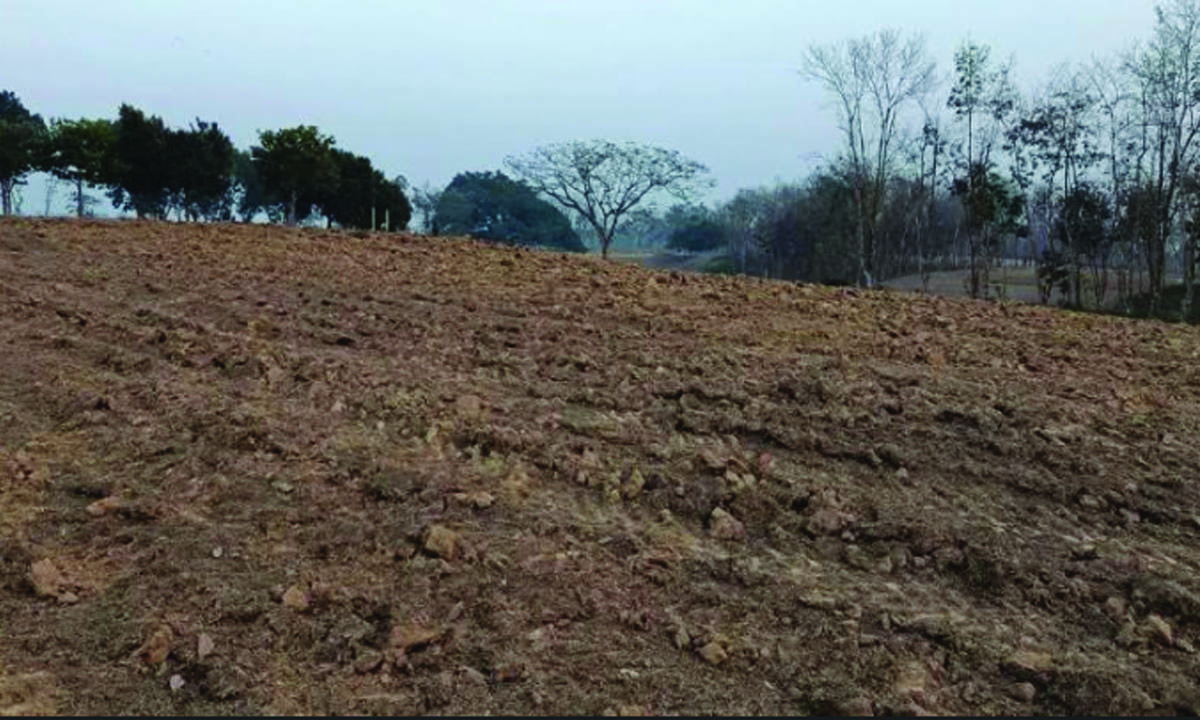 মাঠের বড় একটা অংশ খুঁড়ে ফেলা হয়েছে। ছবি : রূপালী বাংলাদেশ