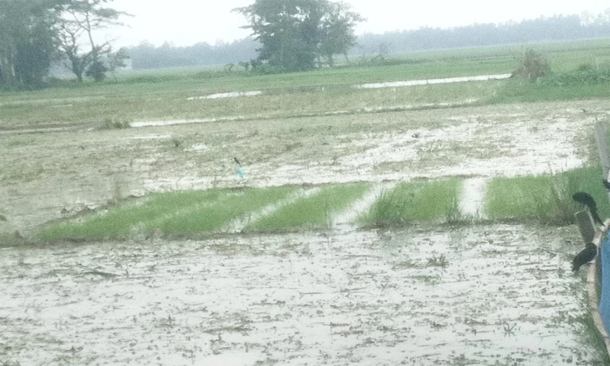ছবি- রূপালী বাংলাদেশ