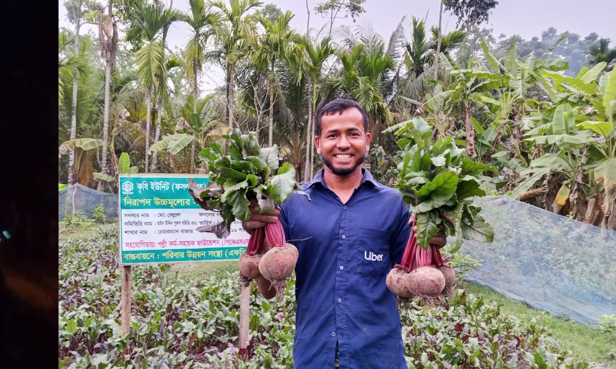 বিট রুট চাষে সফল বেল্লাল। ছবি : রূপালী বাংলাদেশ