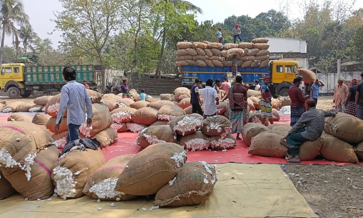 তুলার হাট। ছবি : রূপালী বাংলাদেশ