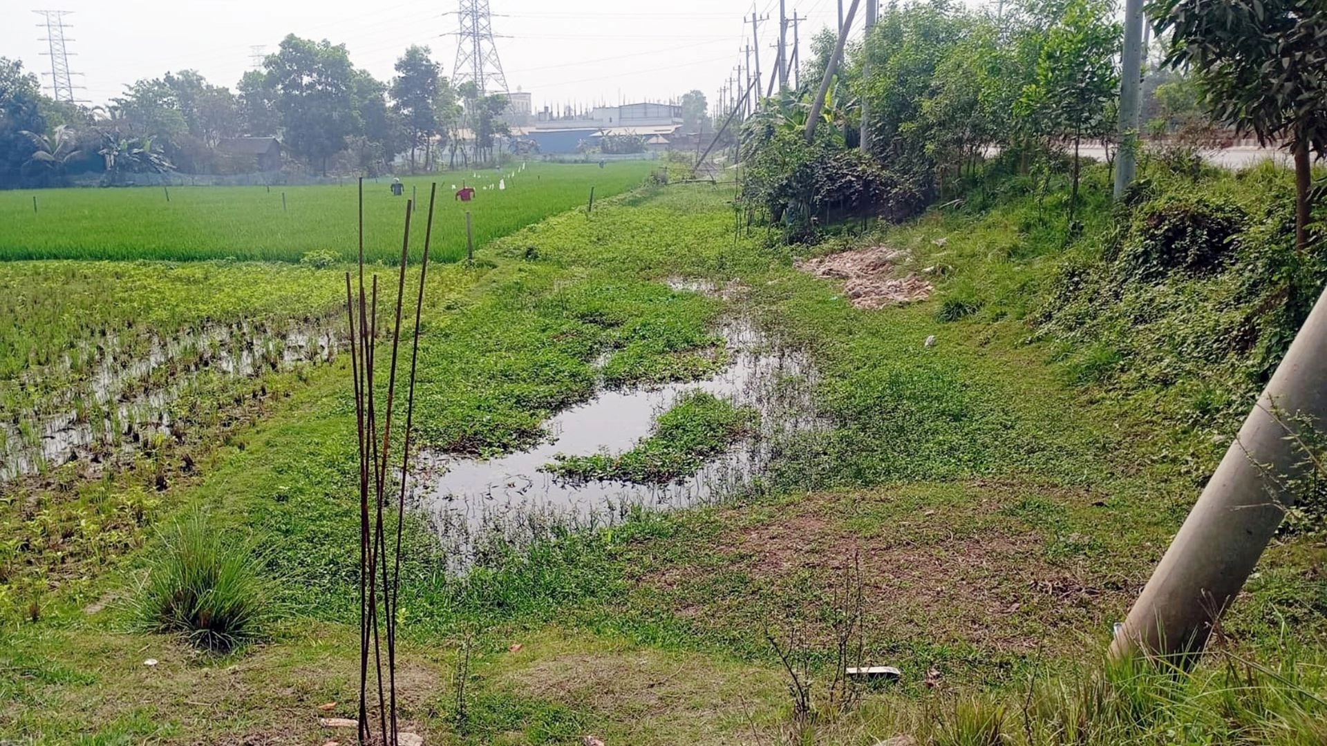 দখলে শত বছরের বেরুলা খাল