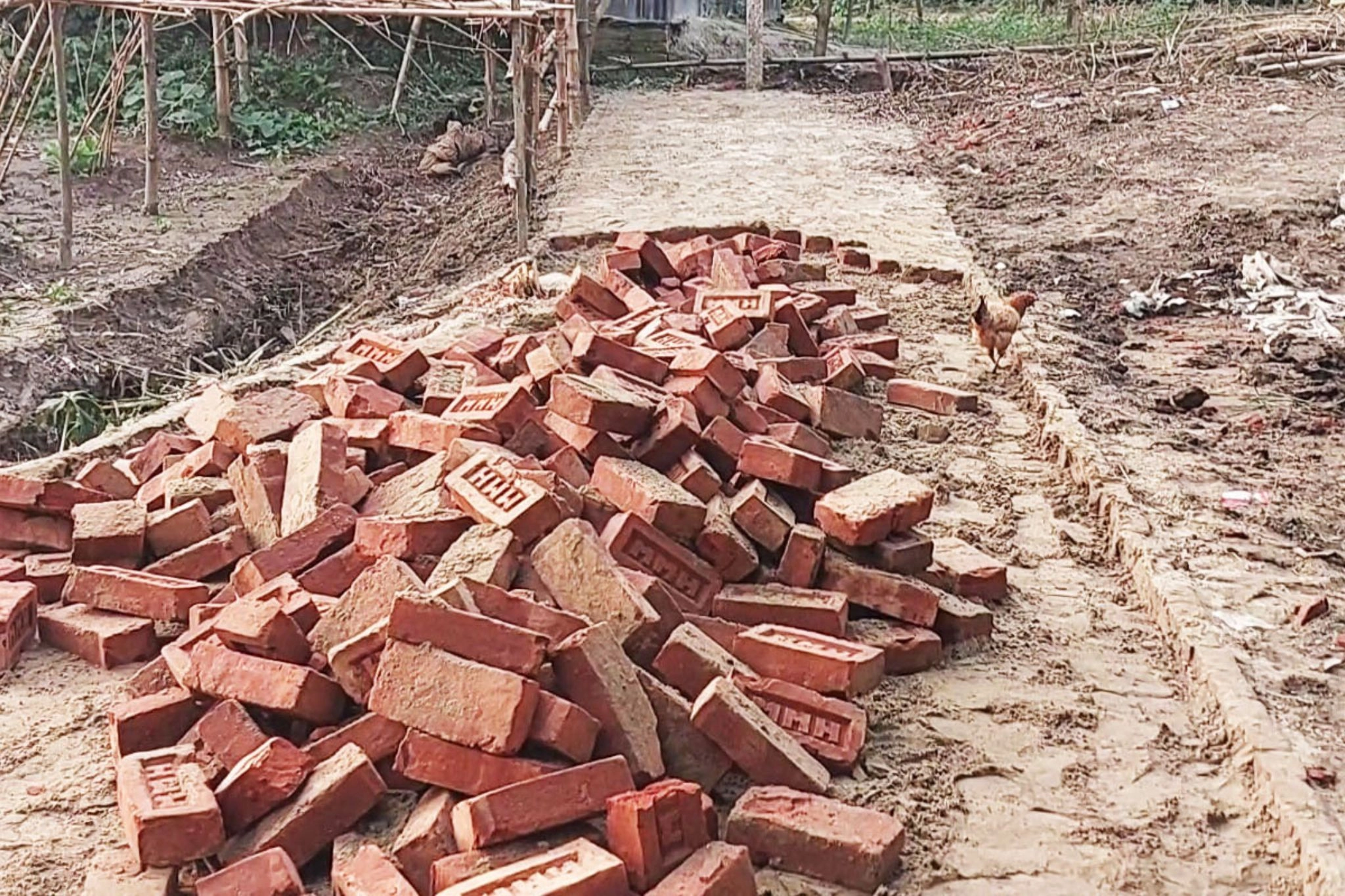 রাস্তা নির্মাণের ৪ দিন পরই ইট তুলে নিলেন সাবেক ইউপি সদস্য