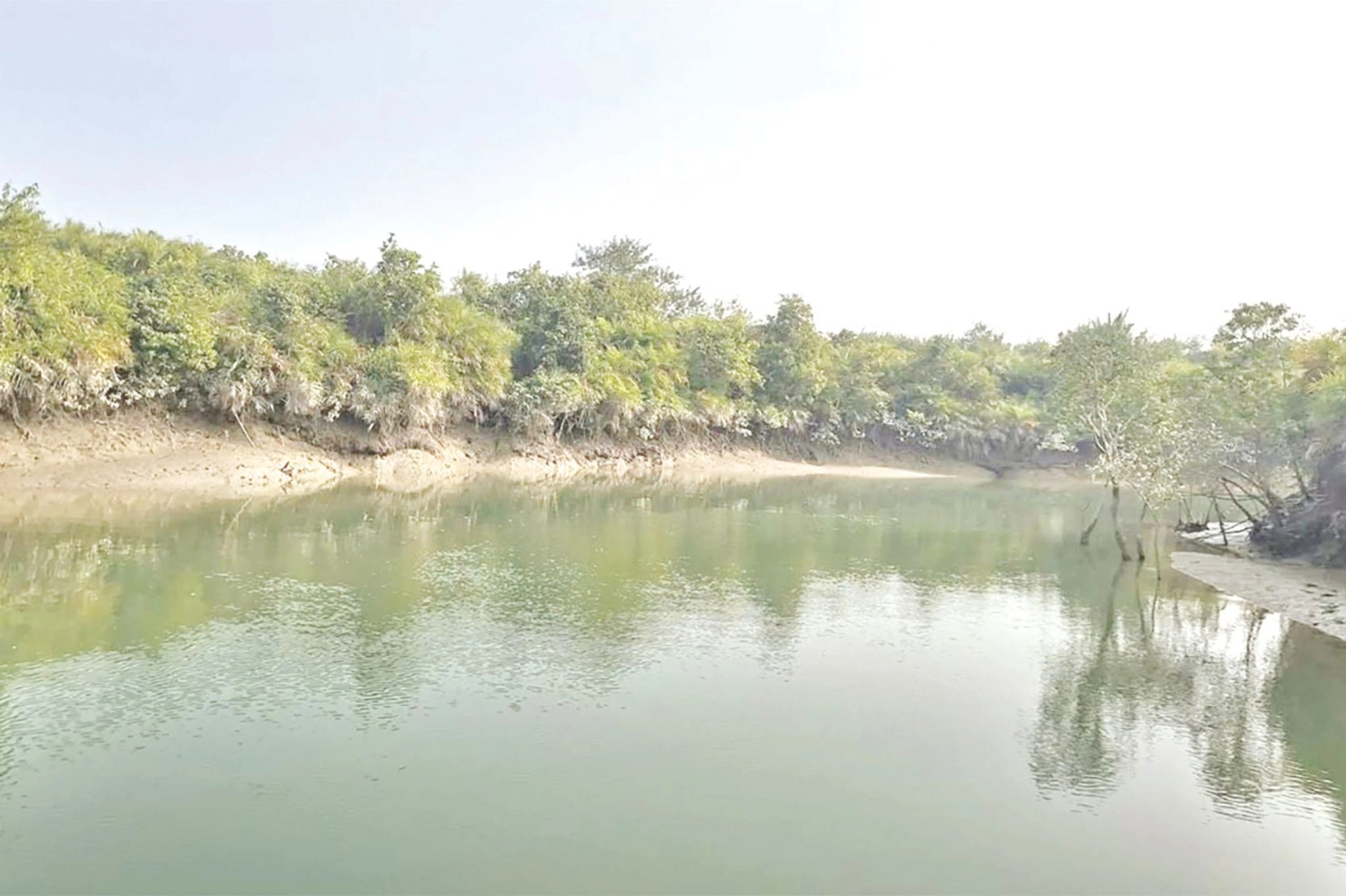 সুন্দরবনে ফের  ৮ বনজীবী  অপহরণ