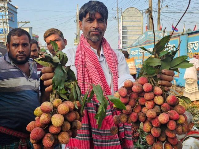 লাল লিচুতে রঙিন ঈশ্বরদী