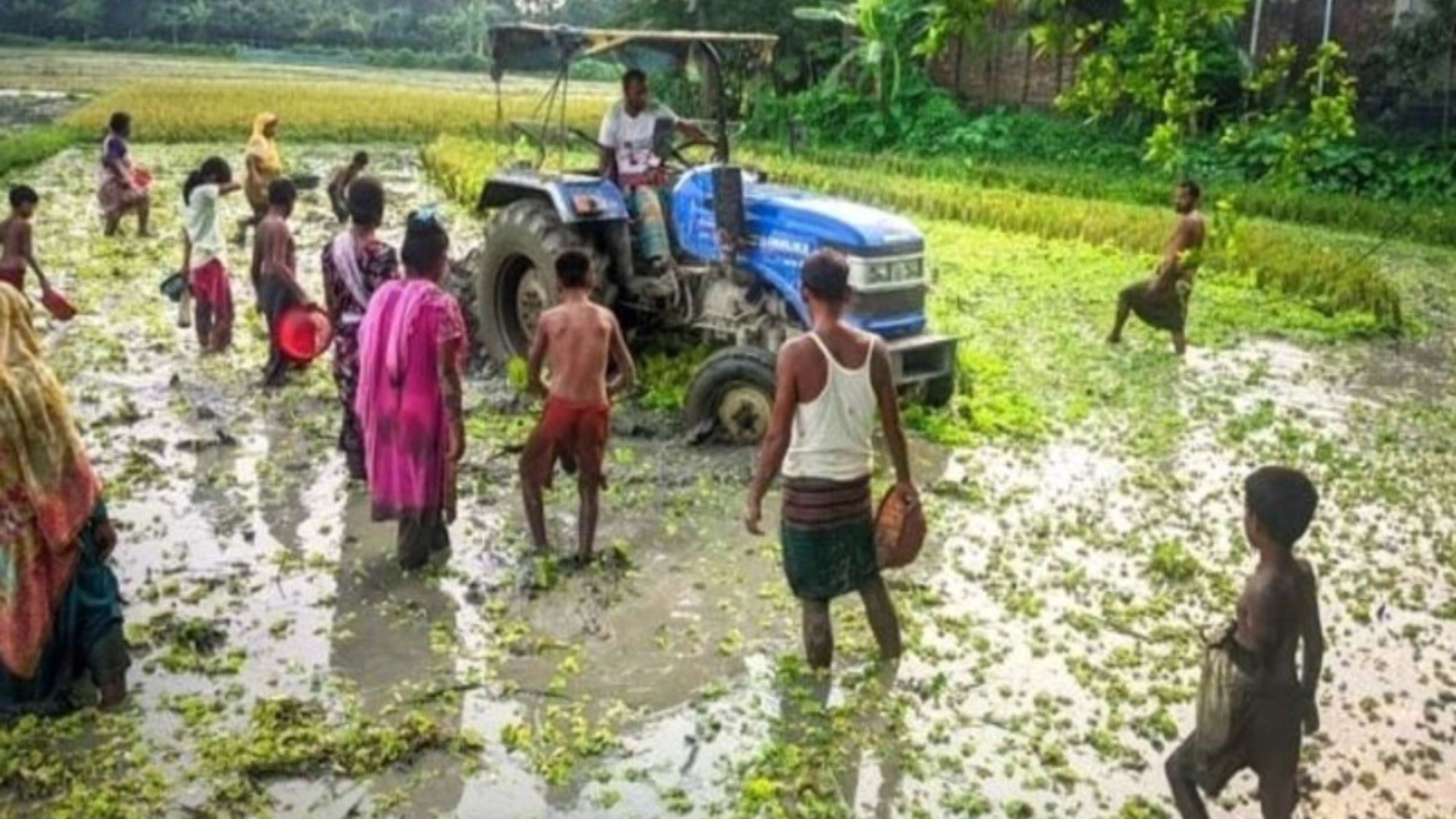 মাছ ধরার আনন্দে মেতেছে শিশুরা