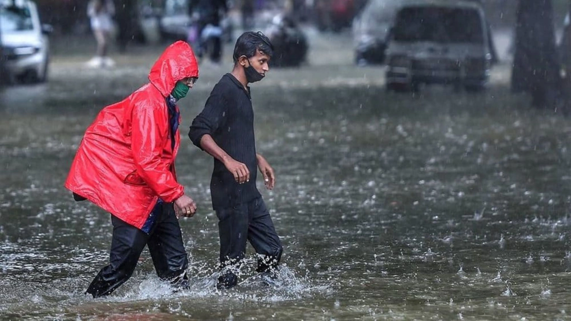 বিশ্বজুড়ে প্রকৃতির অবাক করা সব রেকর্ড