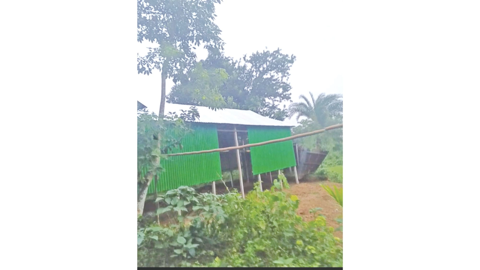 বনের জমি দখলে সহযোগিতা  করেন বিট কর্মকর্তা মানিক