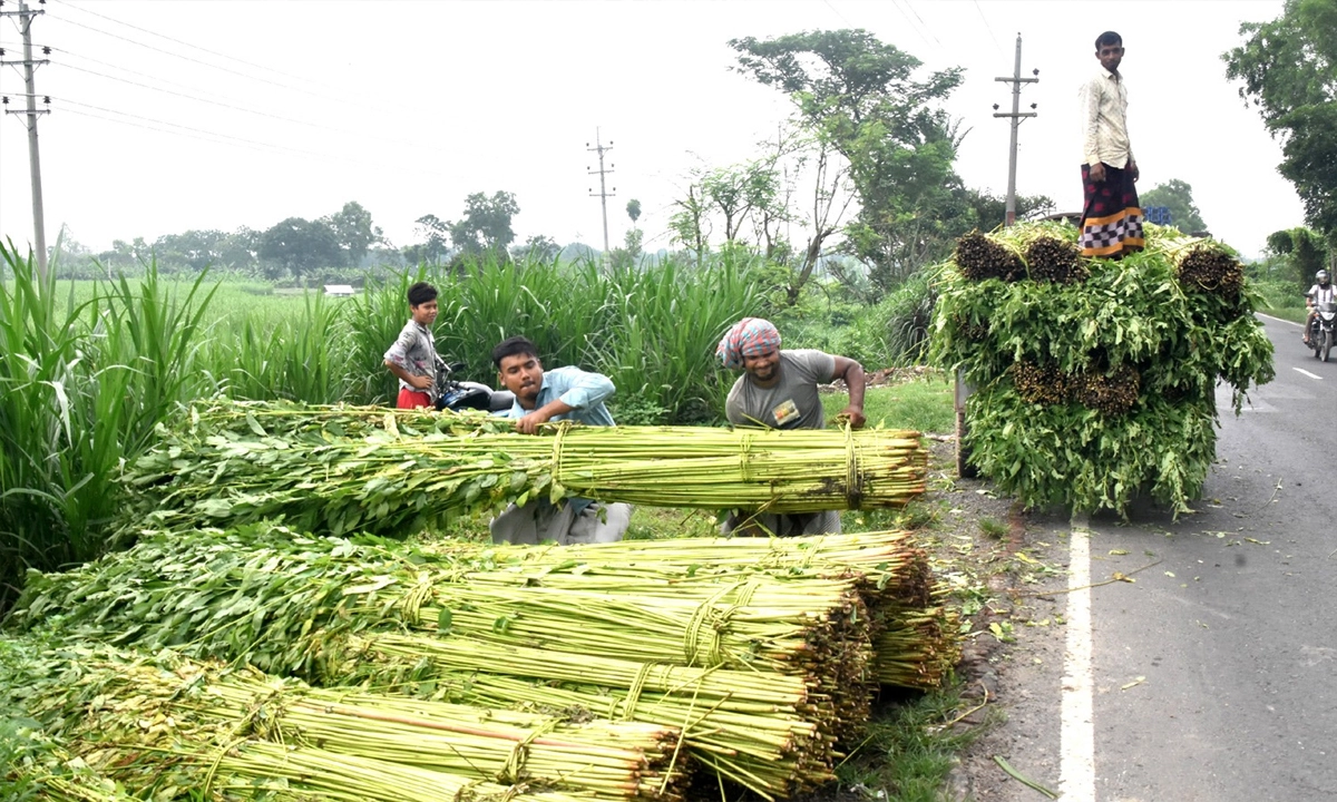 ছবি- রূপালী বাংলাদেশ