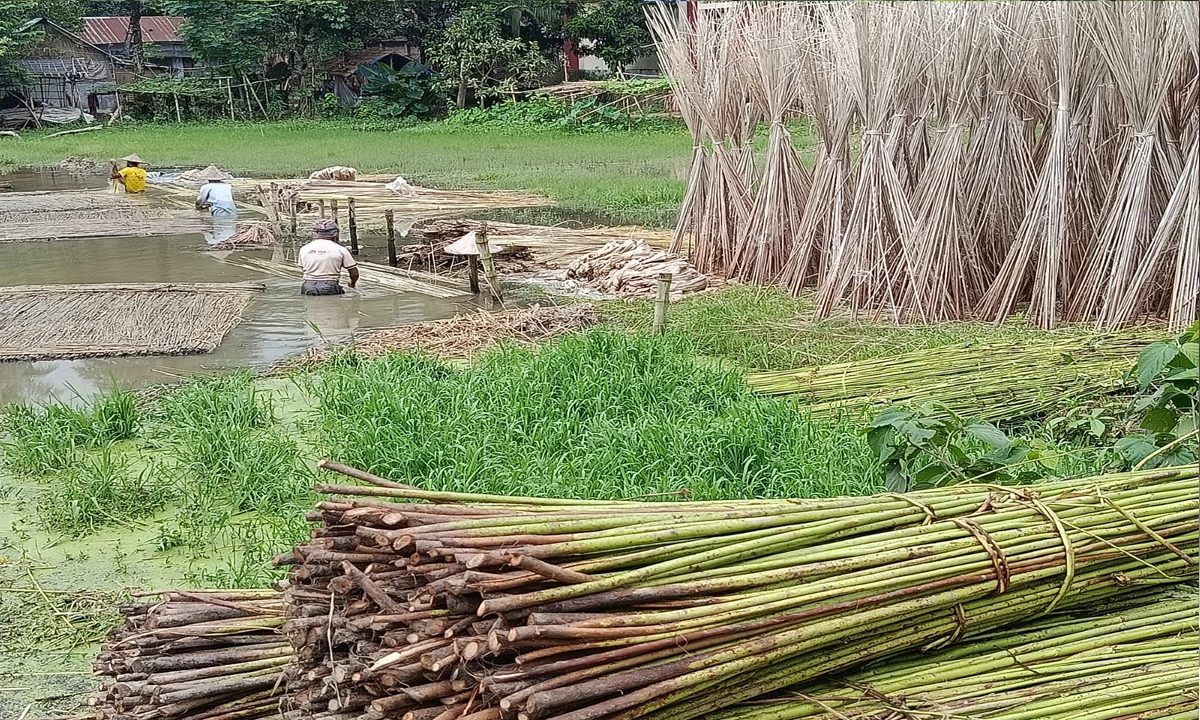 ছবি- রূপালী বাংলাদেশ