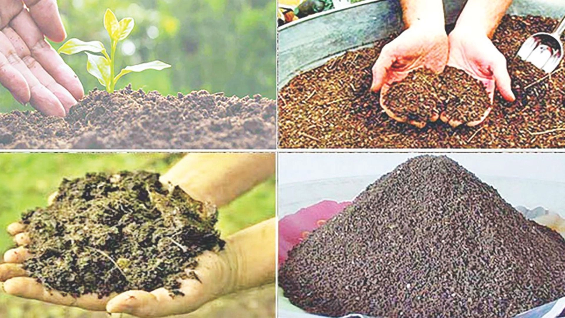মাটির প্রাণ ও কৃষকের সমৃদ্ধি