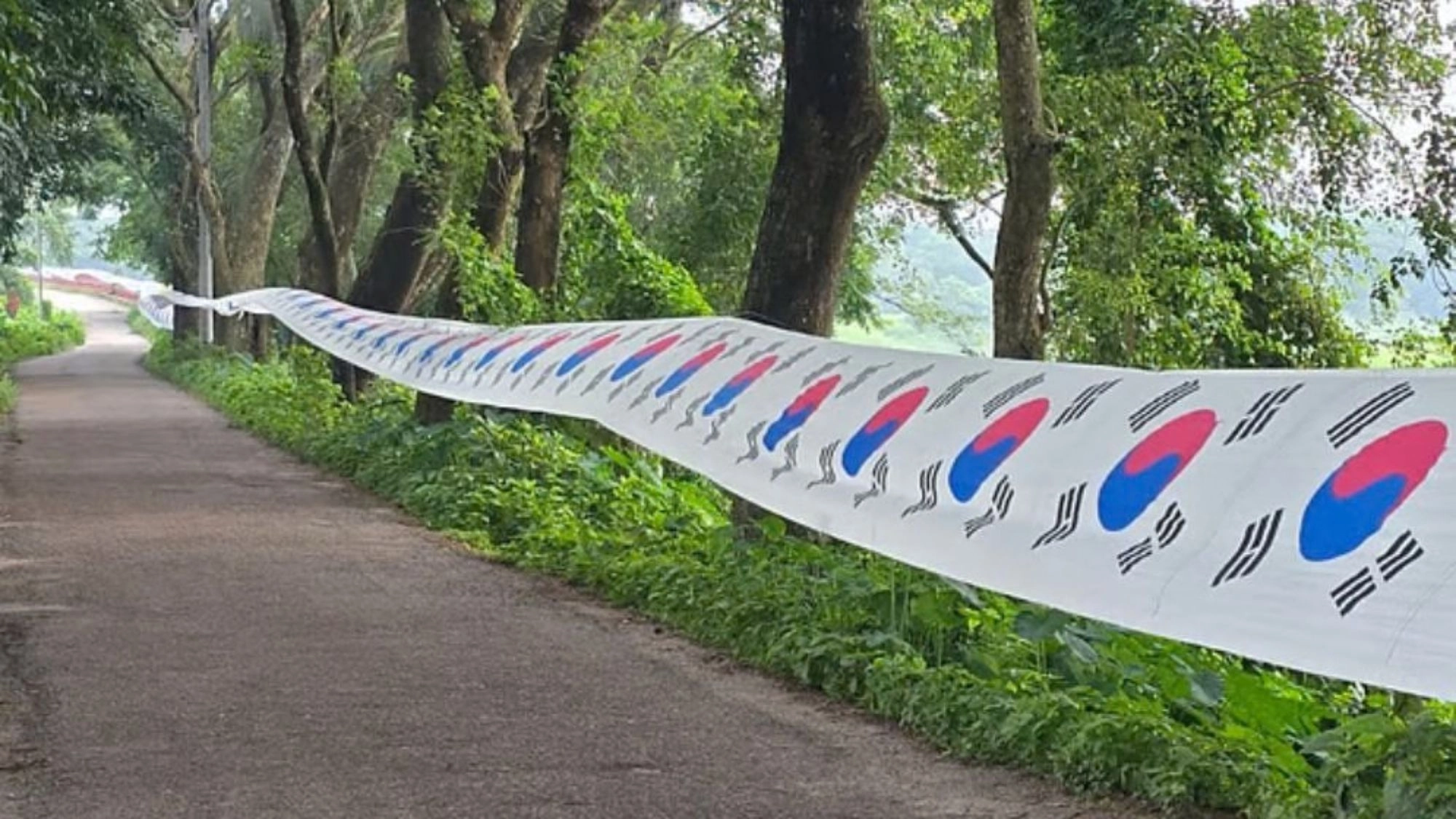 ৫ কিলোমিটার দীর্ঘ পতাকা টাঙালেন সেই কাউছার