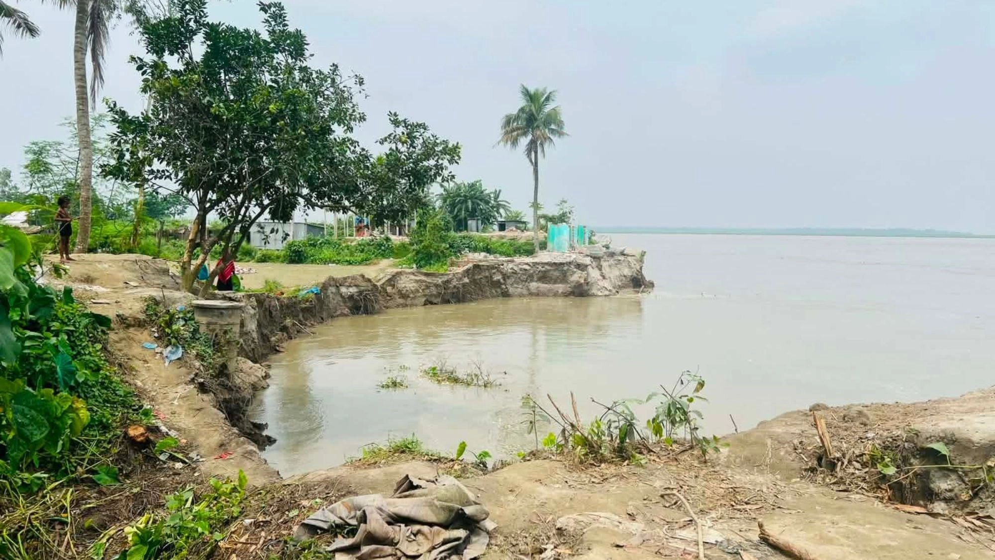 এক ঘণ্টায় নদীগর্ভে  অর্ধশত ঘরবাড়ি