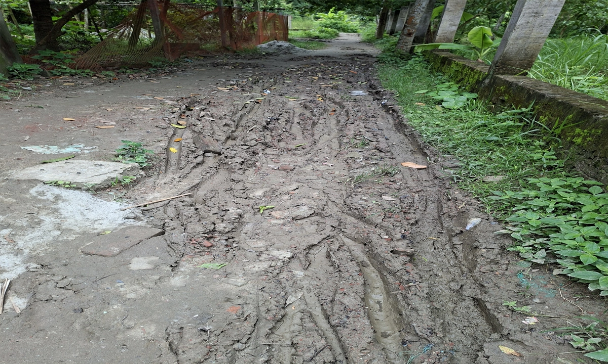 ছবি- রূপালী বাংলাদেশ