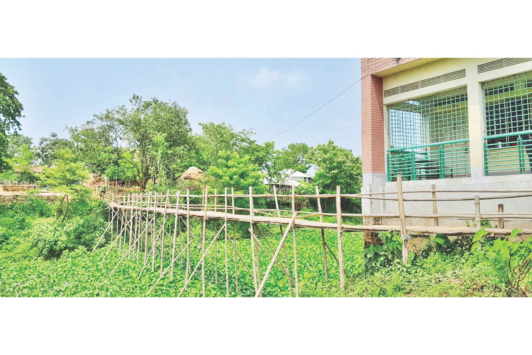 শিক্ষার্থীদের একমাত্র  ভরসা কাঠের সাঁকো