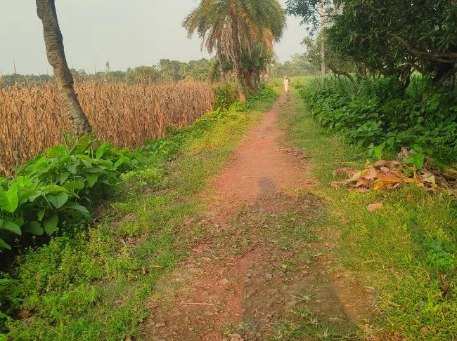 দুই বছরেও শেষ হয়নি  চার সড়কের কাজ