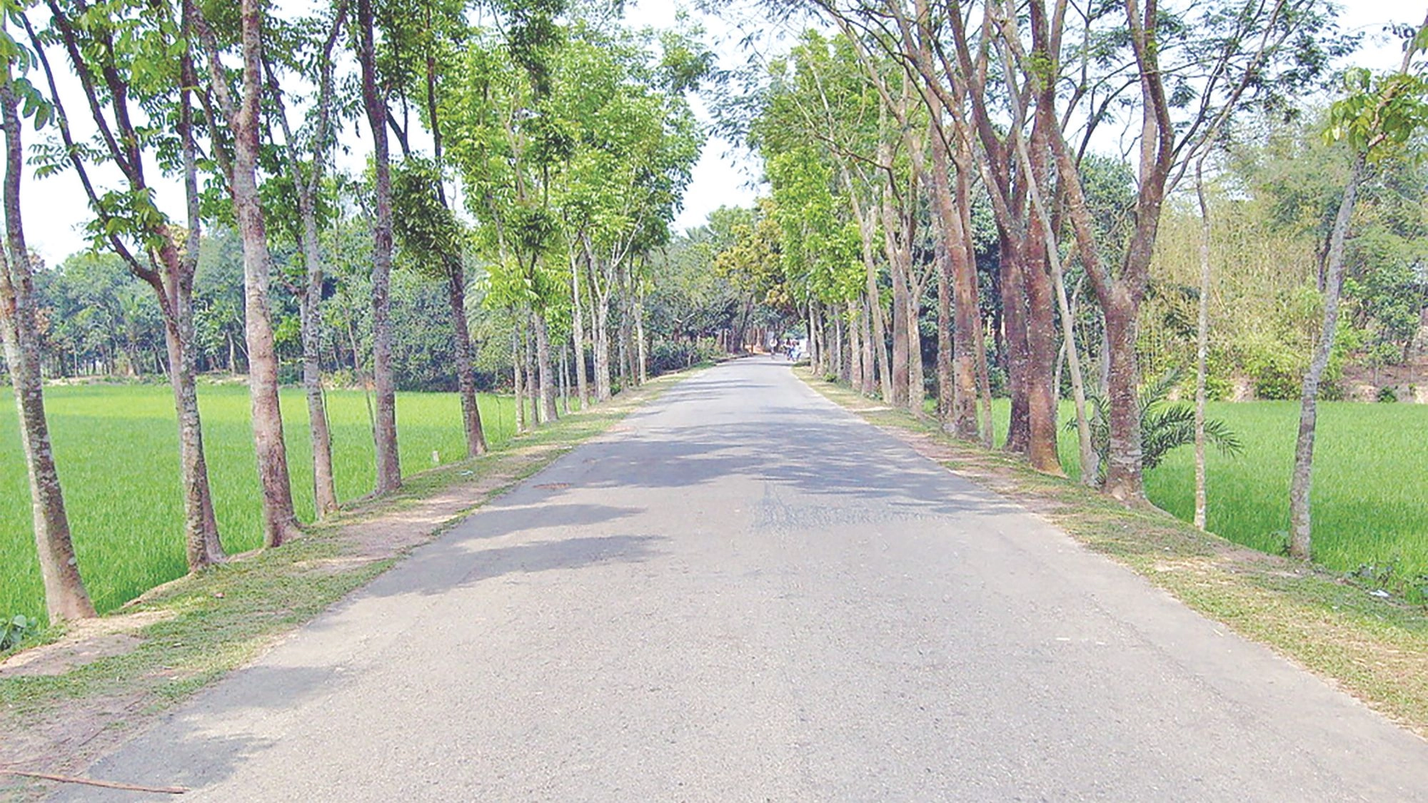 একনেকে আজ উঠছে  ২০৮২ কোটির প্রকল্প
